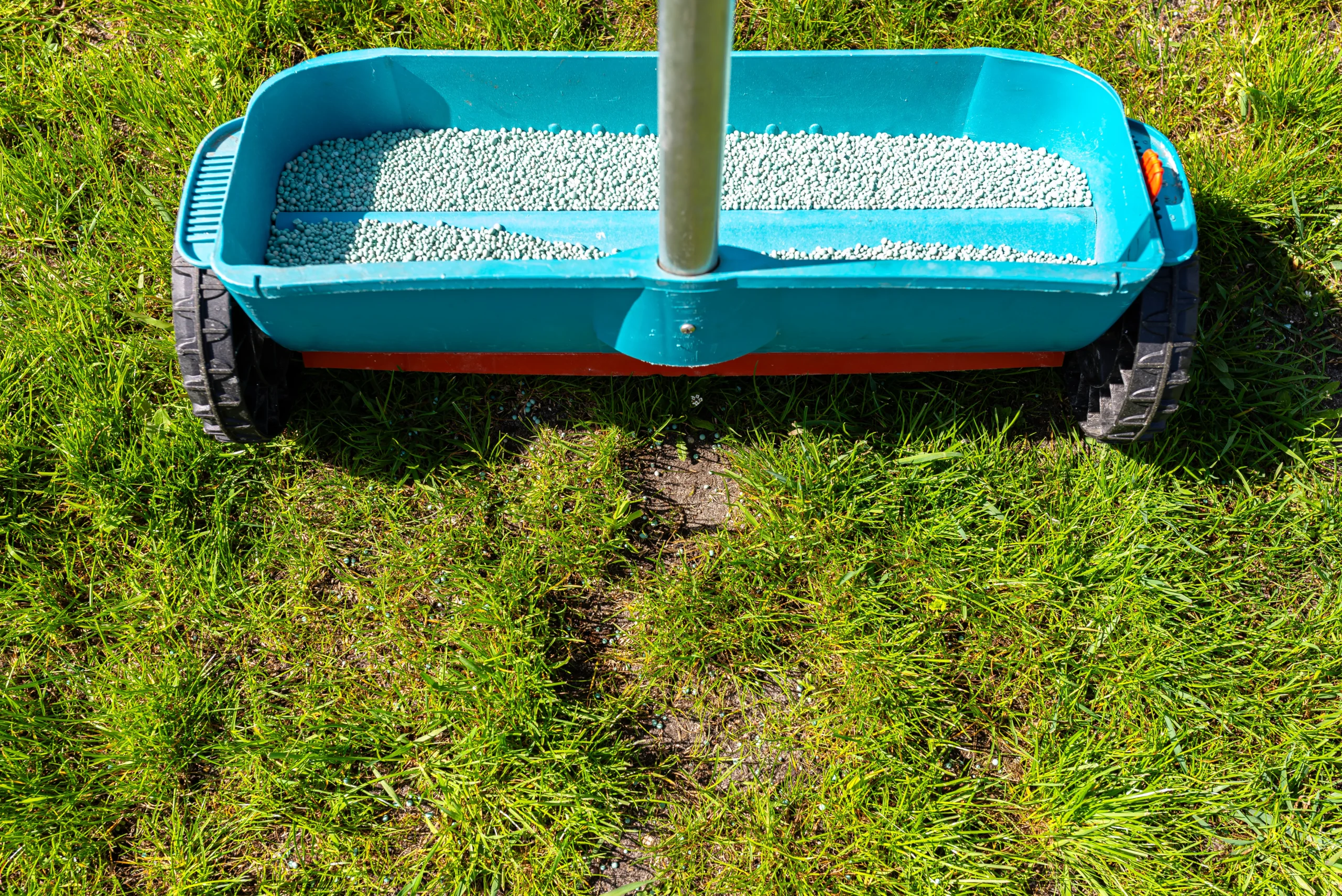 Fertilizing