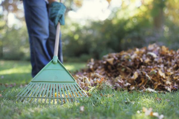 Storm Cleaner Services In Highland Park, TX