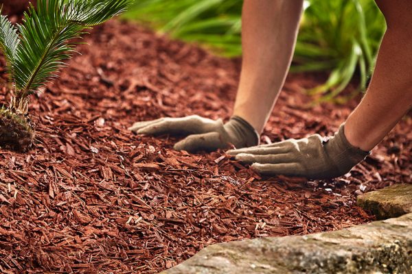 Mulching Service In Dallas TX