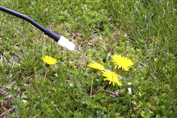 Weed Control services in Highland Park, TX