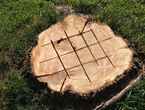 Tree Stump Removal & Grinding Service Dallas TX